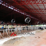 compost barns para 100 vacas orçamento Araucária