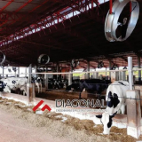 compost barns para 100 vacas São Miguel do Iguaçu